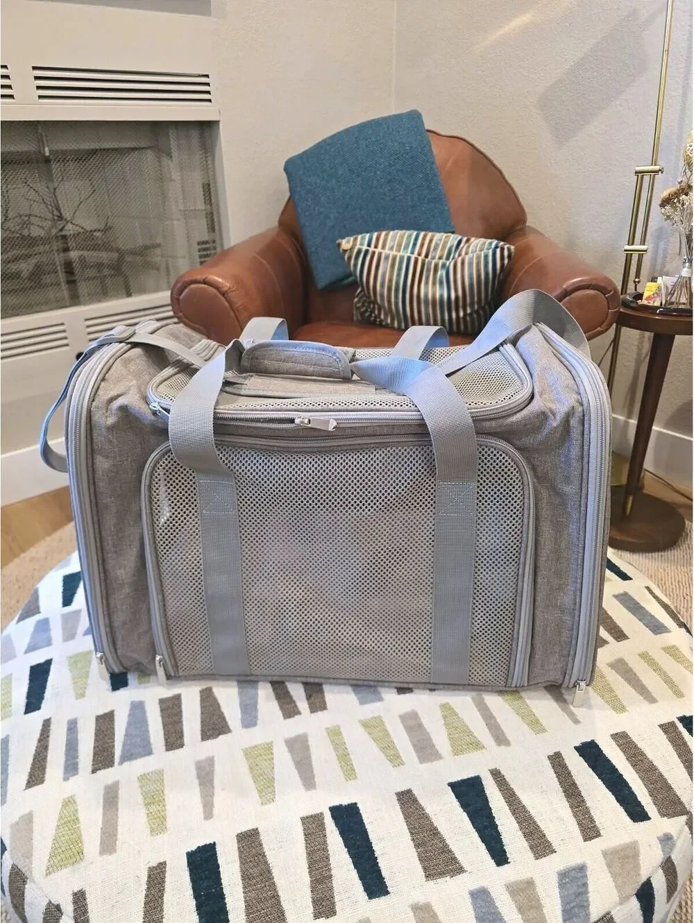 Pet Carrier for Small to Medium Pets - New
